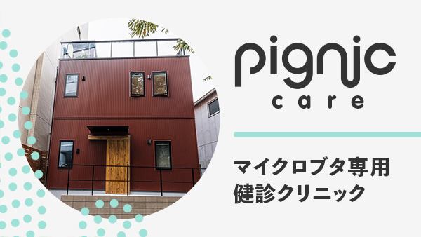 pignic care