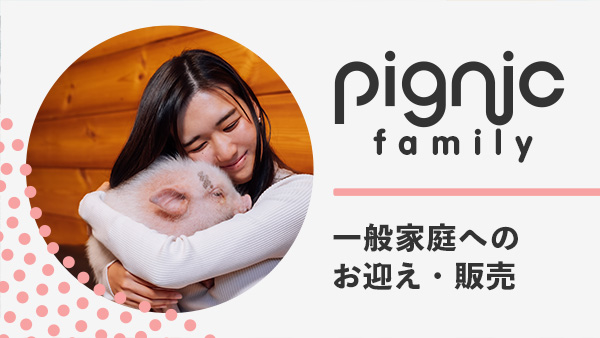 pignic family