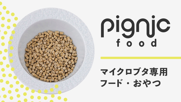 pignic food