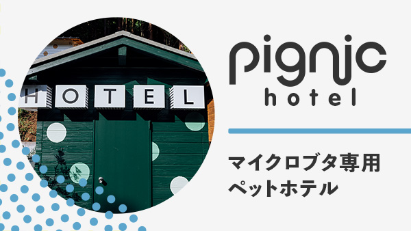 pignic hotel