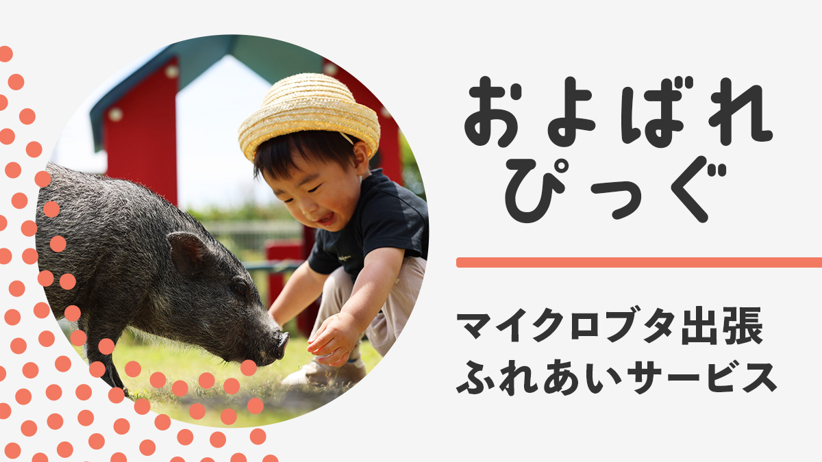 およばれぴっぐ