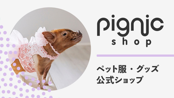 pignic shop