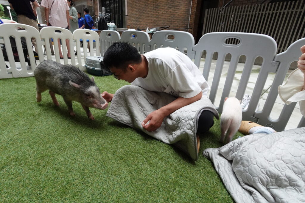pignic特別イベントの様子