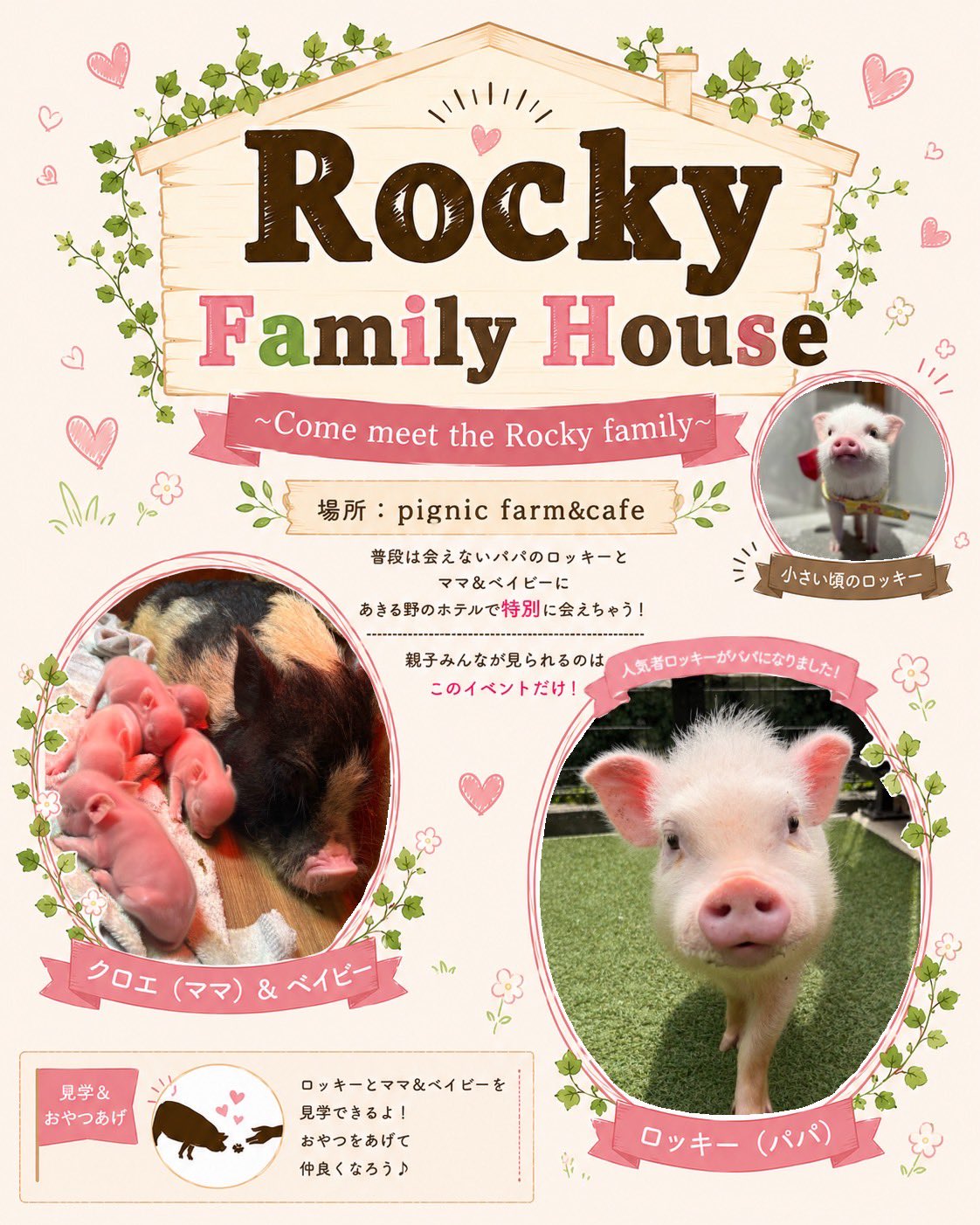 pignic ロッキーイベント