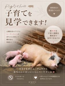 pugnic cafe子育てイベント