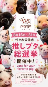 pignic cafe 推しブタ総選挙