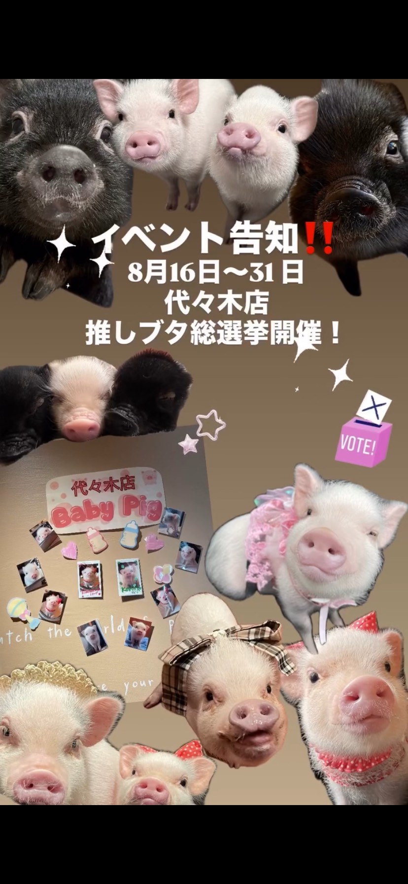 pignic cafe　推しブタ総選挙