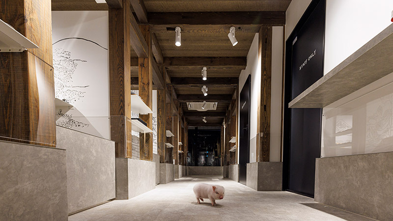 pignic cafe Asakusa