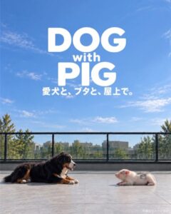 「DOG with PIG」開催のお知らせ