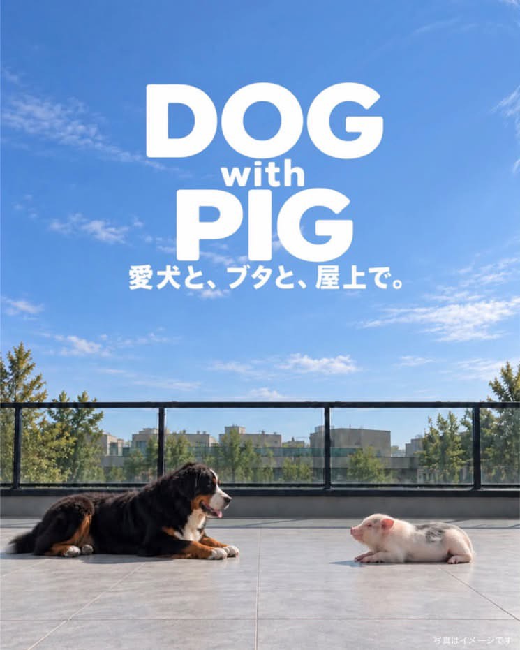 「DOG with PIG」開催のお知らせ